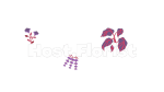 Host Florist