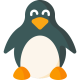 linux (1)